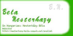 bela mesterhazy business card